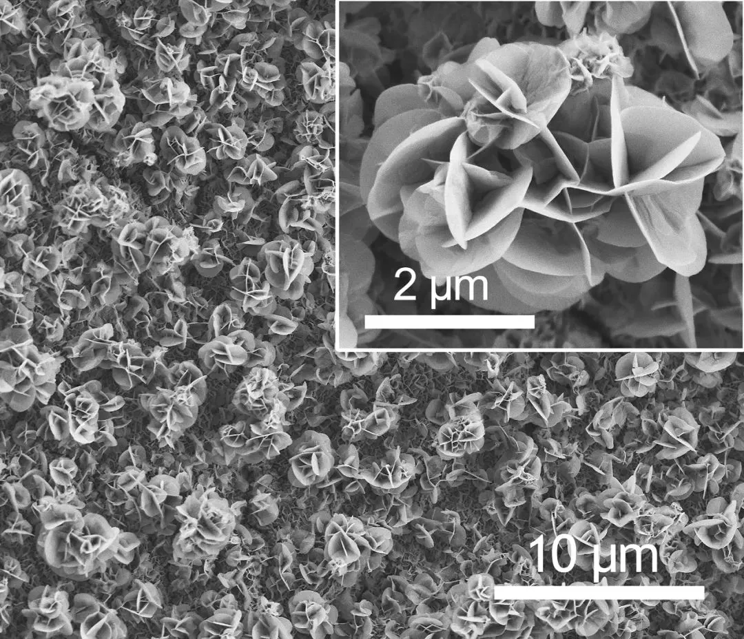 图片[2]-我国科学家成功合成可用于电解水制氢的非贵金属催化剂-卖碳网